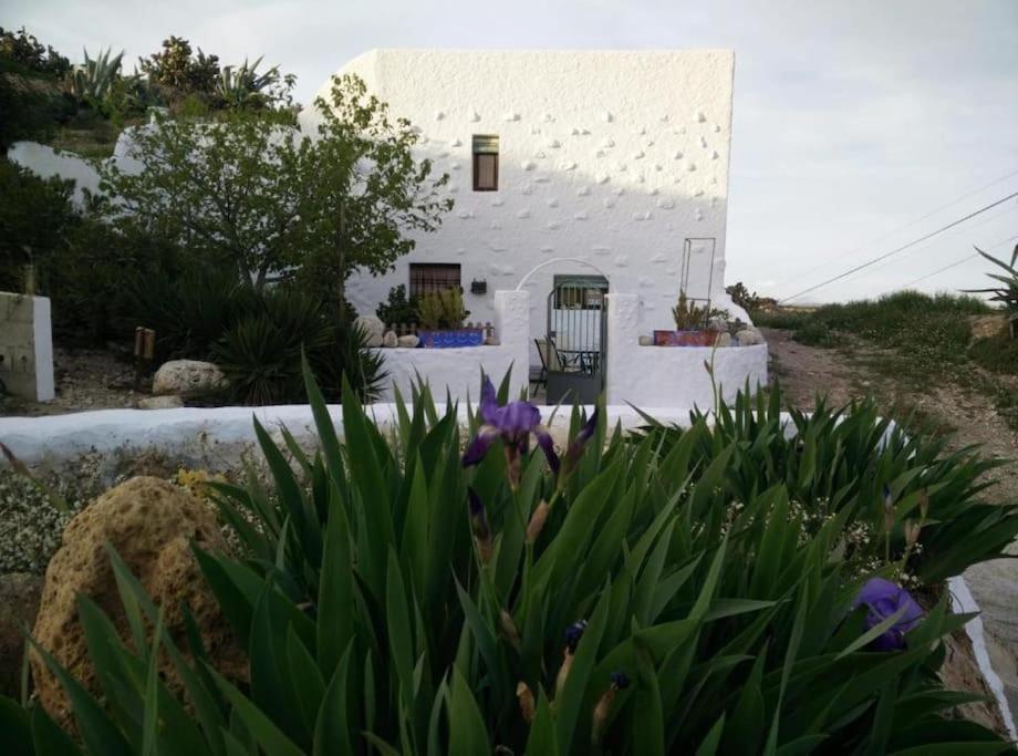 Cuevas Los Coloraos - La Residencia Villanueva de las Torres Exterior foto